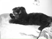 Фотография Мениахметовой Динары