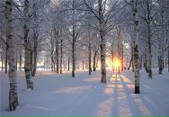 Фотография Дубковой Александры