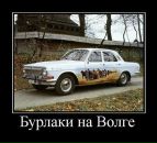 Денис Цветков фотография #10 (источник - https://vk.com/id2893261)