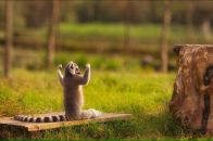 Фотография Вишнякова Сергея