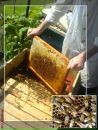 Юрій Свида фотография #47 (источник - https://vk.com/id104028504)