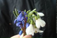 Фотография Кириченко Анны