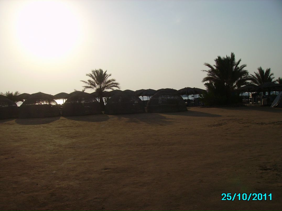 Андрей Савельев фотография #19