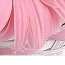 Ірина Кукурудза фотография #38 (источник - https://vk.com/id22514152)