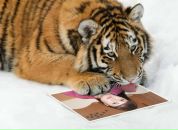 Фотография Кинзибаевой Алины