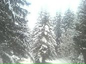 Андрій Проданюк фотография #31 (источник - https://vk.com/id70357456)