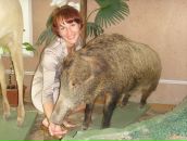 Фотография Бердников Илья