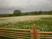 Иван Барабан фотография #2 (источник - https://vk.com/id4515466)