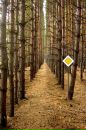 Фотография Байкова Василия