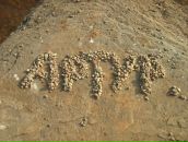 Фотография Ахметшина Артура