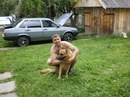 Андрій Греділь фотография #9 (источник - https://vk.com/id87312955)