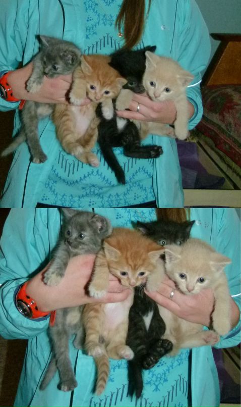 Сергей Исаев фотография #24