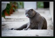 Олександр Бедзір фотография #8 (источник - https://vk.com/id16203303)