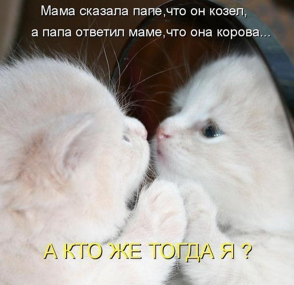 №10, Светик Семицветик №10, Светик Семицветик