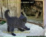 Ольга Иванова фотография #10 (источник - https://vk.com/id6002168)