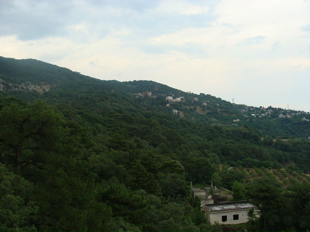 Александр Зиненко фотография #30