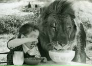 Фотография Федоровой Анны