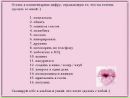 Фотография Авхадеевой Лилии