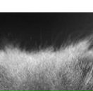 Олеся Матвійчук фотография #16 (источник - https://vk.com/id50923906)