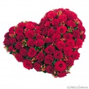 Фотография Мальковой Натальи