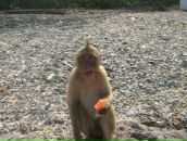 Фотография Парафонова Сергея