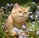 Фотография Иванова Романа