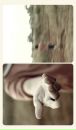 Діма Несторов фотография #7 (источник - https://vk.com/id103006528)