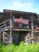 Пёза-2008, image #18