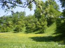 Світлана Морис фотография #34 (источник - https://vk.com/id56319751)