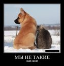 Дурбецело Термінат-Кальцій фотография #17 (источник - https://vk.com/id28351017)