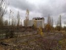 Бігуляк Goldenstream фотография #17 (источник - https://vk.com/id54639922)