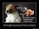 Павло Єремичук фотография #18 (источник - https://vk.com/id19558480)