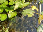 Фотография Боровской Ольги