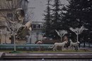 Cem Demirezen фотография #8 (источник - https://vk.com/id162678400)
