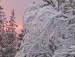 Льоня Огороднік фотография #34 (источник - https://vk.com/id103384318)