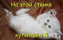 Аліна Кушнірук фотография #16 (источник - https://vk.com/id150729442)