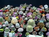 Вікуля Рабець фотография #38 (источник - https://vk.com/id38076758)