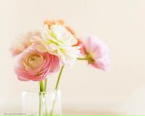 Софья Панфилова фотография #41 (источник - https://vk.com/id3386280)