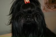 Фотография Антоновой Ольги