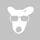 Selena Jonas фотография #32 (источник - https://vk.com/id165400812)