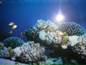 Фотография Колбасовой Марии