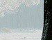 Сергій Вашерук фотография #45 (источник - https://vk.com/id94027871)