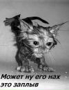 Василь Тимків фотография #48 (источник - https://vk.com/id138412147)