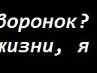 Вікторія Ведмидь фотография #8 (источник - https://vk.com/id132230284)