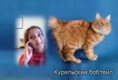 Ілона Місюра фотография #44 (источник - https://vk.com/id126128362)