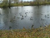 Сергей Карст фотография #37 (источник - https://vk.com/id963620)