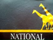 Фотография Мелентьева Екатерина