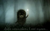 Екатерина Дорофеева фотография #9 (источник - https://vk.com/id557128)