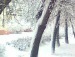 Ребекка Сабатіні фотография #11 (источник - https://vk.com/id139026115)