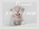 Сергій Юхимчук фотография #9 (источник - https://vk.com/id161496578)